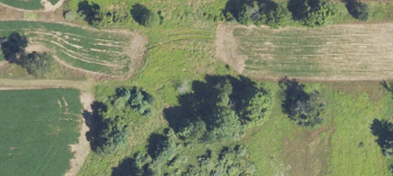 Recreational Hunting Land Tract