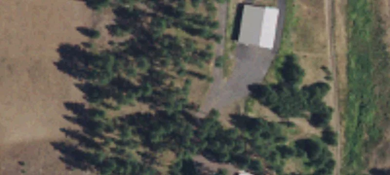 Tree-Farm Acreage with Creek Border