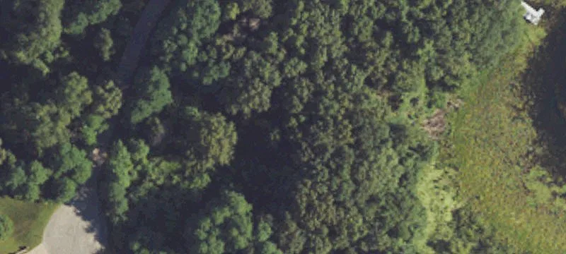 Lakefront Land with High-Bank Views