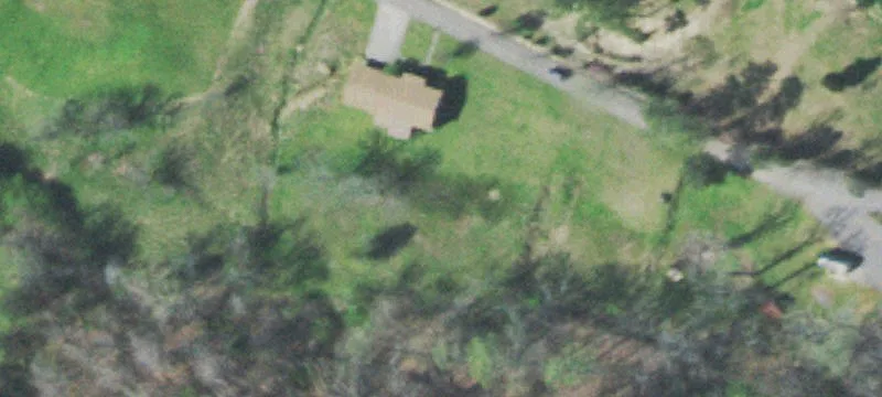 Timberland Tract with Road Access