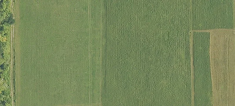 Agricultural Land For Sale