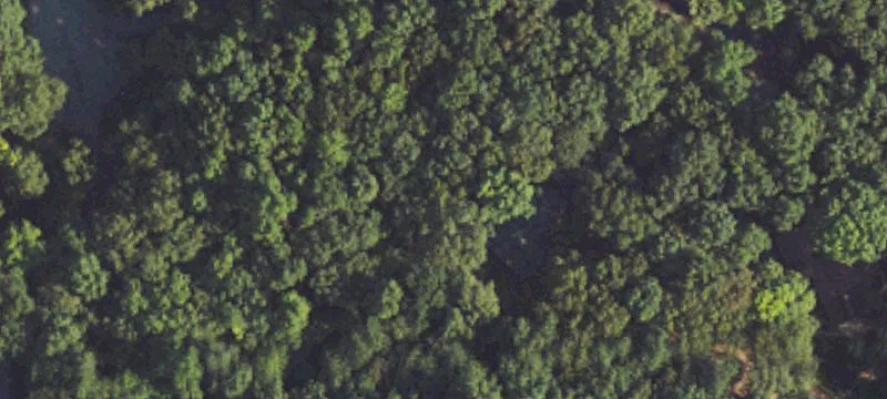 Private Waterfront Nature Preserve Land