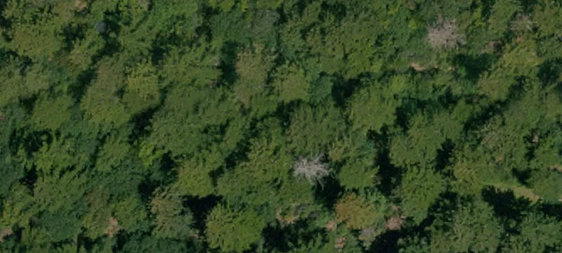 Recreation Land with Creek