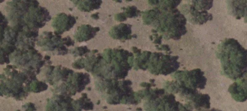 Ag-Exempt Hill Country Land Parcel