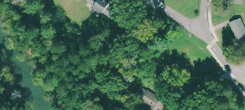 Partially Cleared Residential Homesite