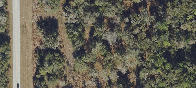 Rural Homesite with Mature Oaks