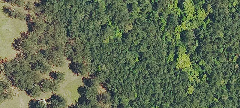 Residential Land Lot with Forest Backdrop