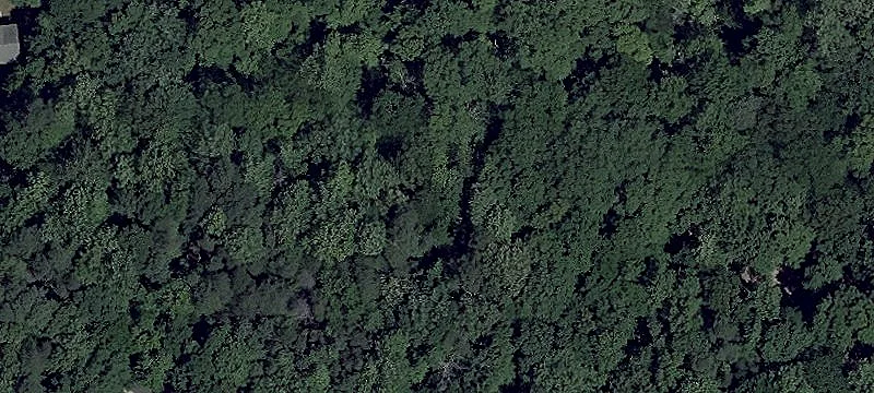 Wooded Residential Land Lot