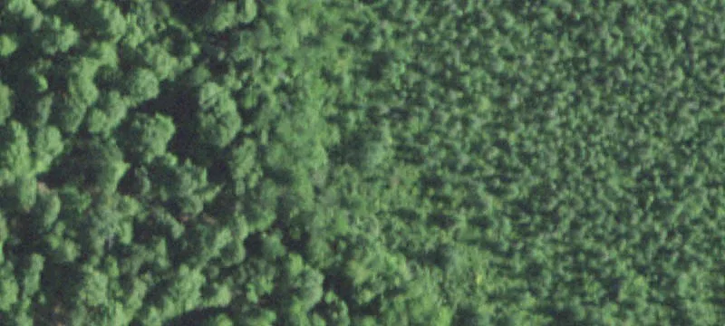 Vacant Recreation Land Parcels