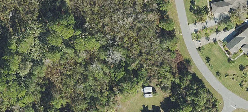 Natural Wooded Land Lot