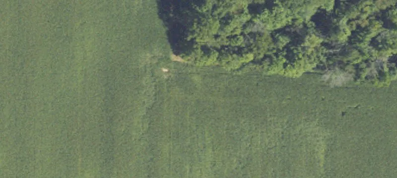 Rural Acreage with Rolling Hills