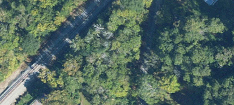 Level Wooded Commercial Land