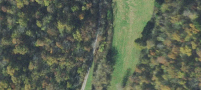 Wooded Country Tract for Development