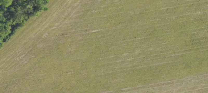 Agricultural Land Parcel