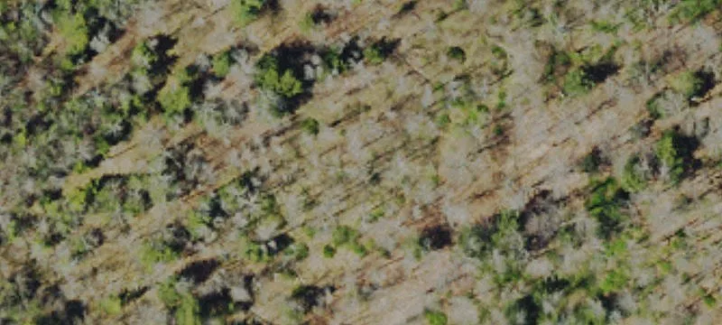 Residential Buildable Lot