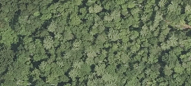 Estate Homesite with Brook Crossing