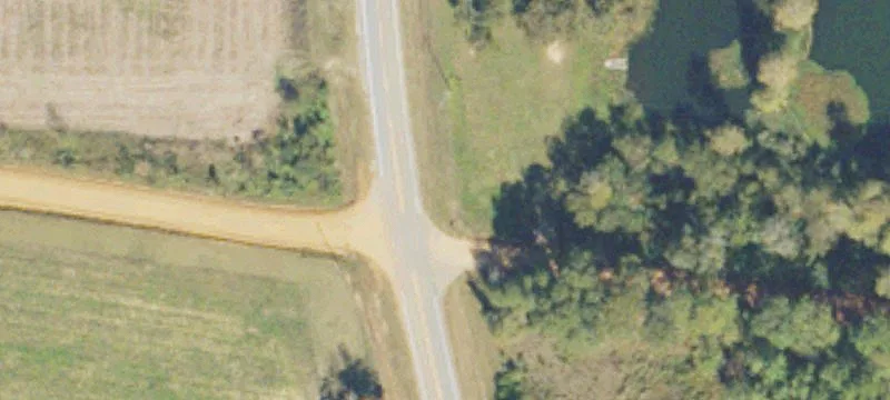 Wooded Land Tract