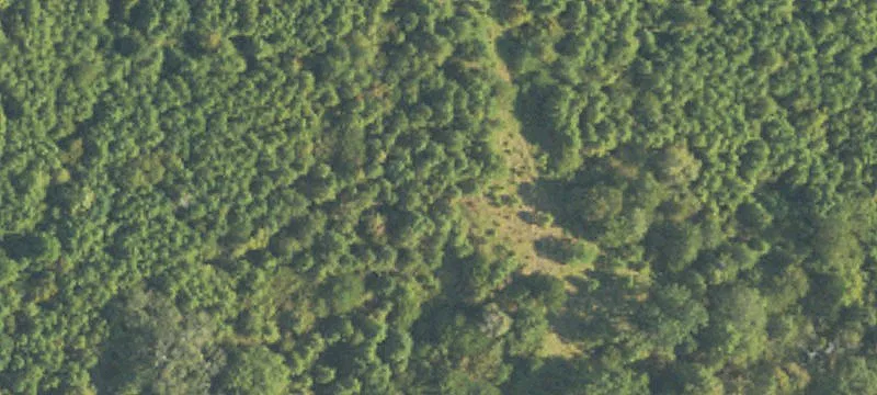 Hunting and Timberland Tract