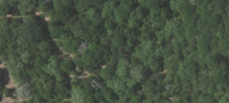Timbered Ranch Land with Paved Frontage