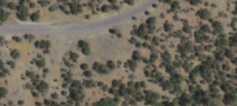 Wooded Residential Home Lot