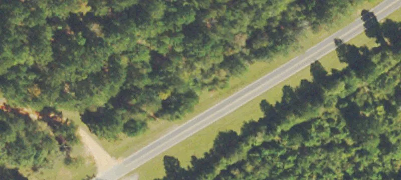 Timber Hunting Tract with Trails
