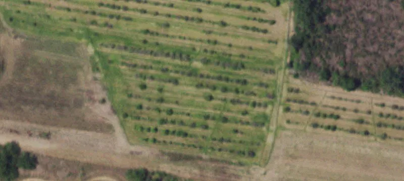 Residential Development Land Acreage