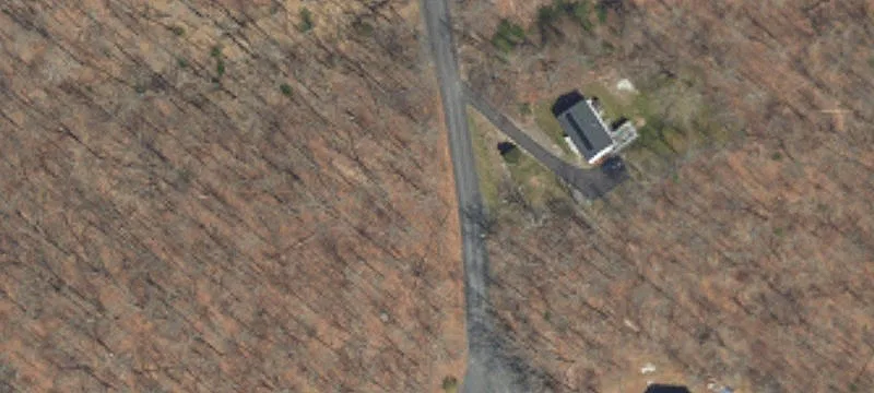 Wooded Vacant Land Lot