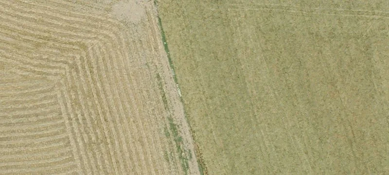 Agricultural Land Parcel