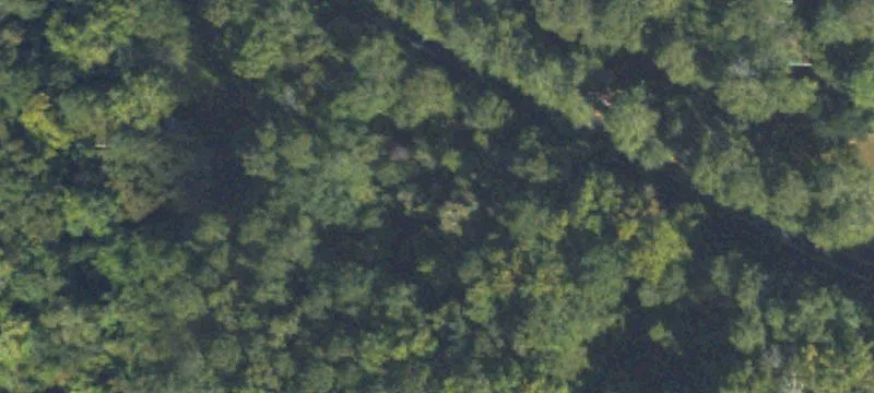Residential Land Lot with Trees