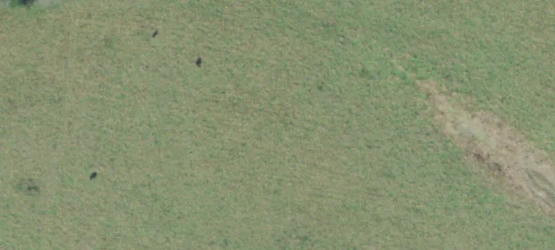 Farm Property With Creek