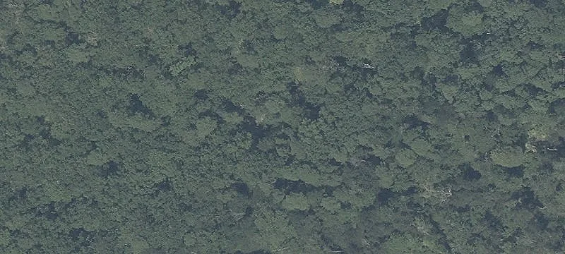 Residential Land Parcel