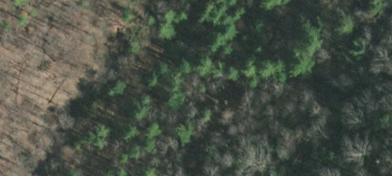 Unrestricted Land with 30x30 Barn