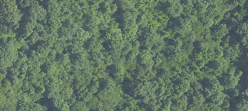 Zoned Residential Land Parcel
