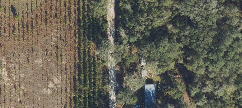 Wooded Hunting Land Parcel