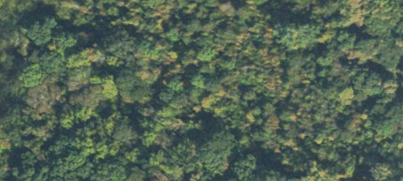 Commercial Land Off Athens Highway
