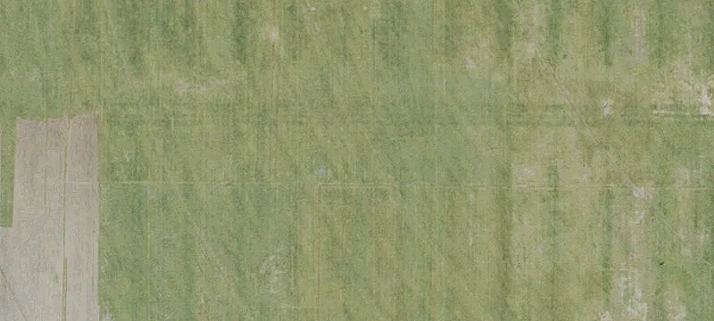 Cleared Sod and Agricultural Acreage