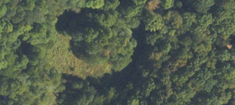 Wooded Waterfront Estate Land