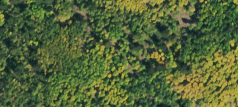 Mountain Vacant Land Parcel