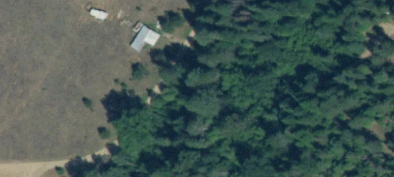 Treed Recreational Land with Cabin