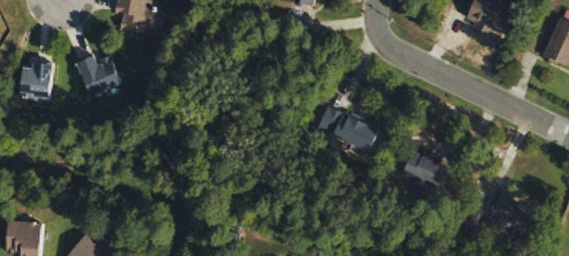 Wooded Residential Lot