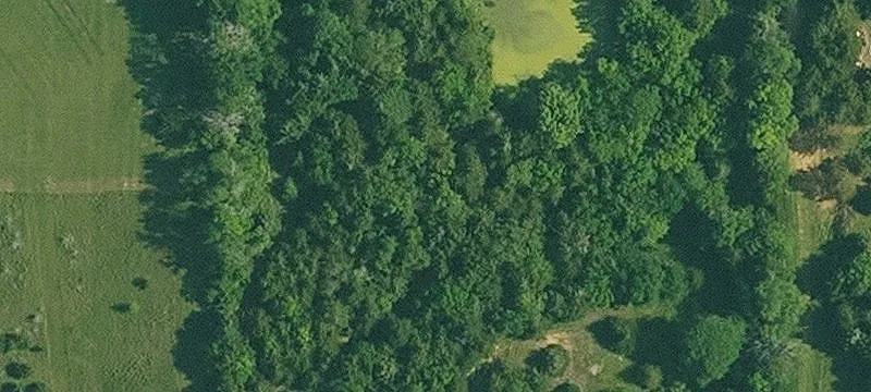 Wooded Recreation Land with Pond