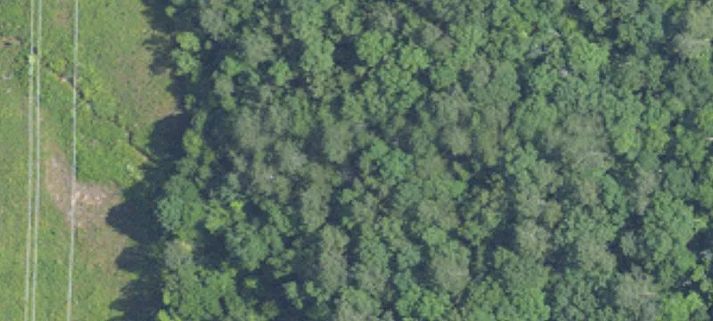 Vacant Residential Land Lot