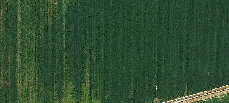 Irrigated Ranch Land with Stream