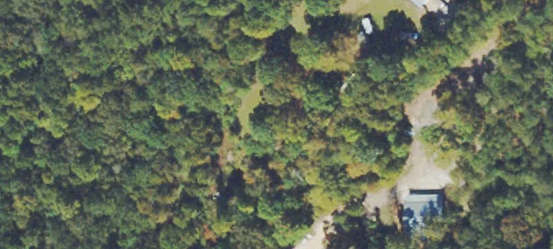 Wooded Commercial Development Land