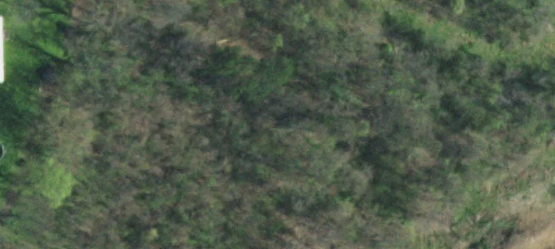 Wooded Acreage with Creek