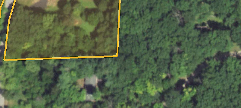 Wooded Community Lot