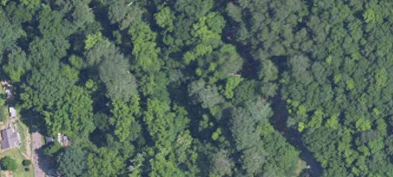 Wooded Residential Land Parcel