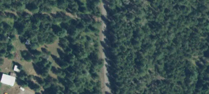Timbered Level Acreage for Development