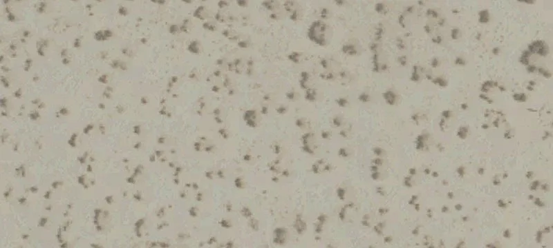 Desert View Development Land