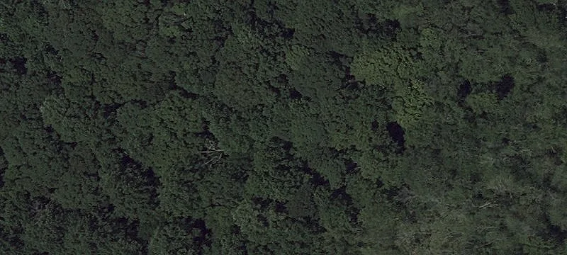 Wooded Residential Building Lot